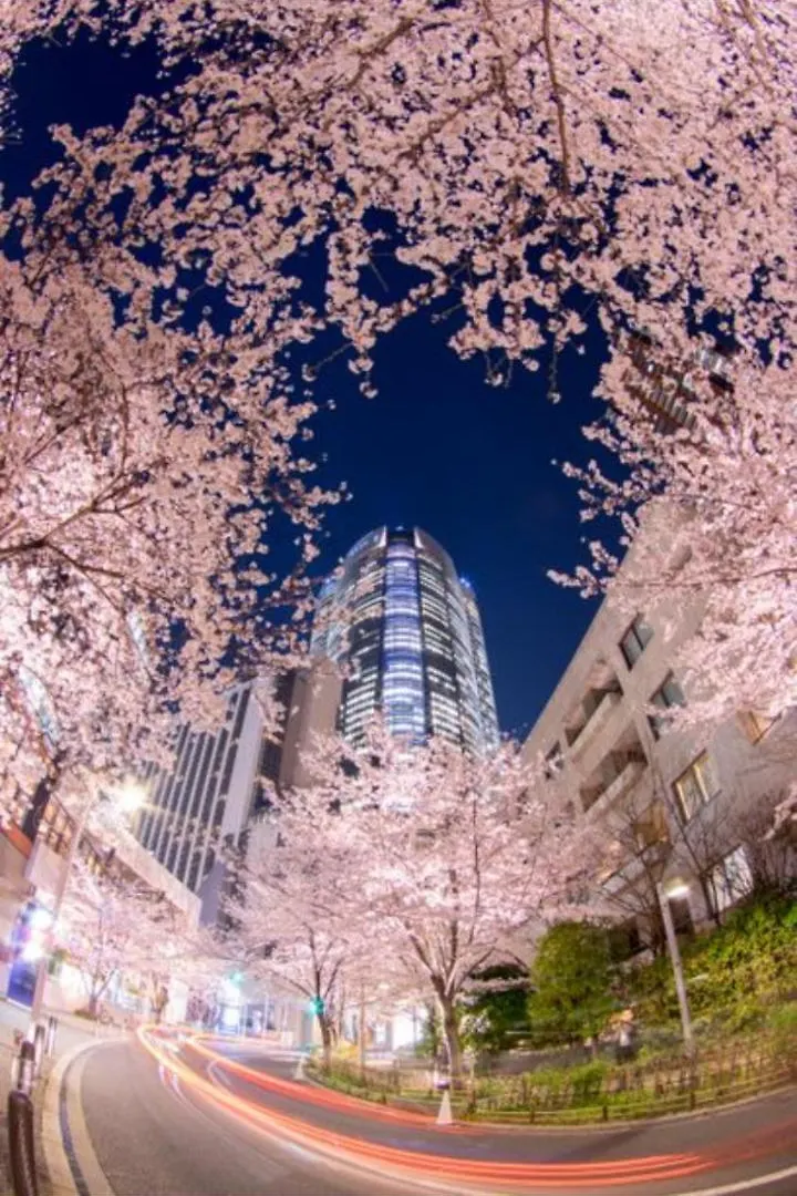 Forecity Kinshicho Apartment Tokyo 0*,